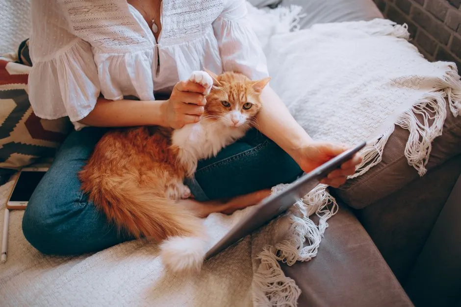#13 - It Chooses To Spend Its Limited Energy On You (Image Credits: Pexels)