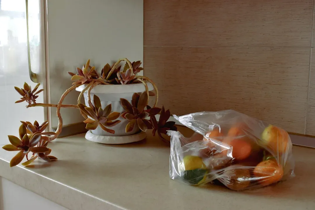 Garbage and Decaying Matter Odors (Image Credits: Unsplash)