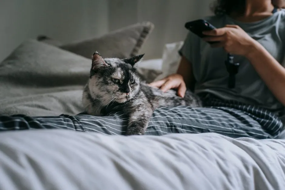 #7 - They Build Their Whole Day Around You, Not the Food Bowl (Image Credits: Pexels)
