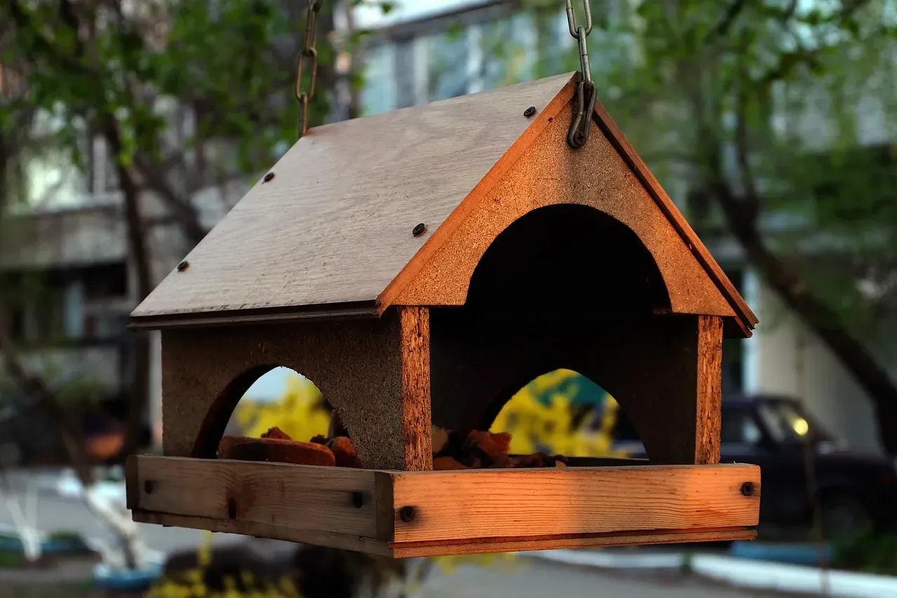 Provide Shelter and Nesting Spaces (Image Credits: Pixabay)