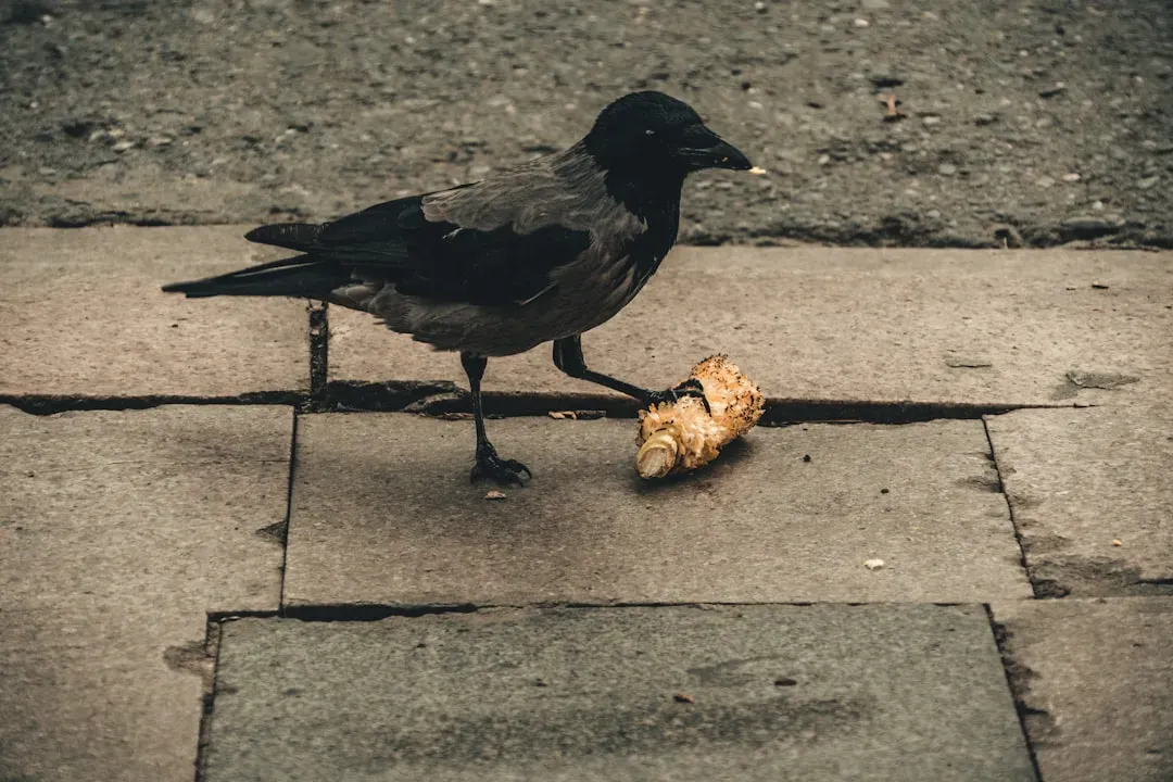 Food That Looks Good But Destroys From Within (Image Credits: Unsplash)