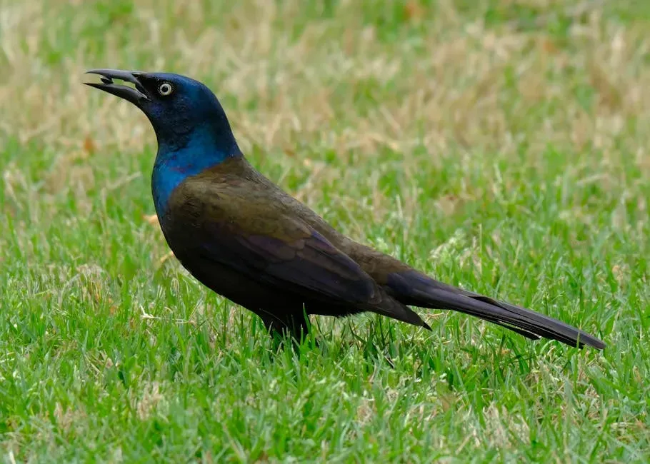 #3: They're Extraordinarily Resourceful Foragers (Image Credits: Pexels)