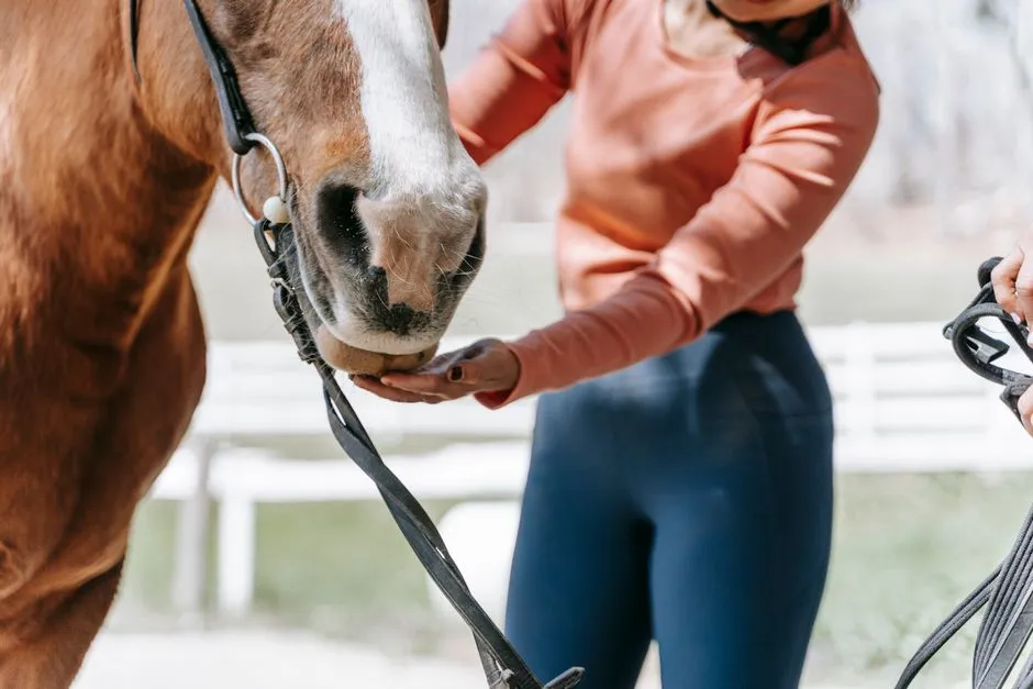 #3 - They Seek You Out for Comfort, Not Just Reward (Image Credits: Pexels)