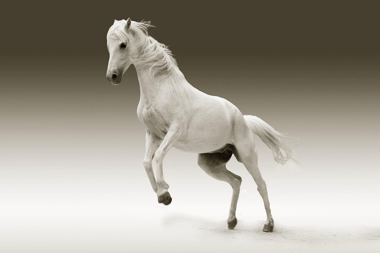 The Caspian: Ancient Royalty Rediscovered (Image Credits: Pixabay)
