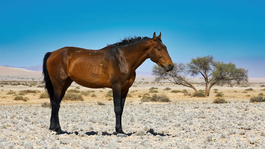 Scorpio: The Mustang - Wild Hearts and Fierce Loyalty (Image Credits: Unsplash)