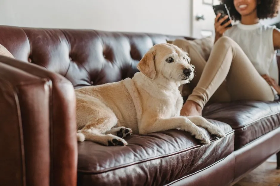 #7 - Repositioning the Moment You Sit Down (Image Credits: Pexels)
