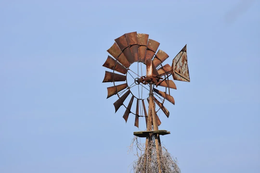 5. Illinois: The Prairie State's Green Transformation (Image Credits: Unsplash)