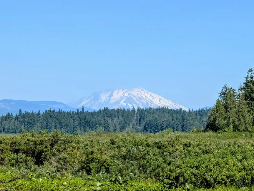 Wildlife and Environment: A Landscape Erased (Image Credits: Pexels)