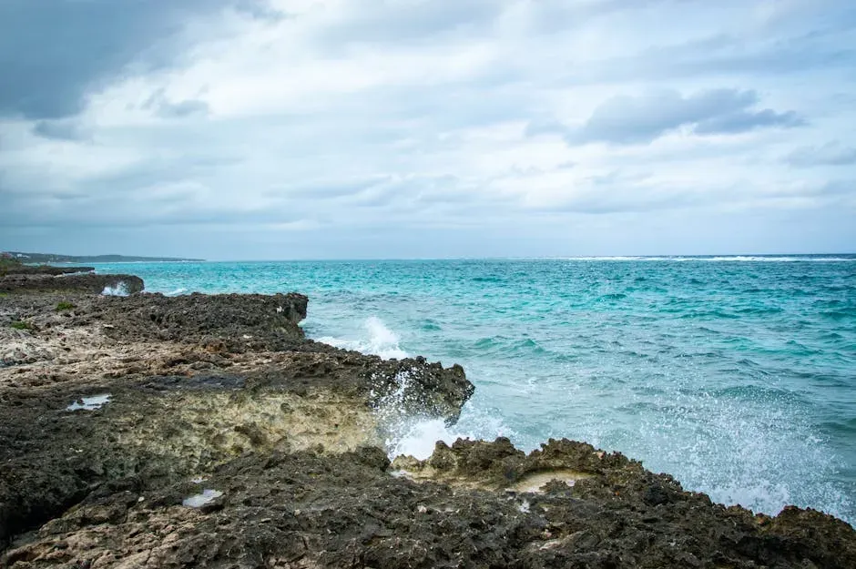 #14. Hawaii's Napali Coast and Remote Islands: An Oceanic Evolutionary Laboratory (Image Credits: Pexels)