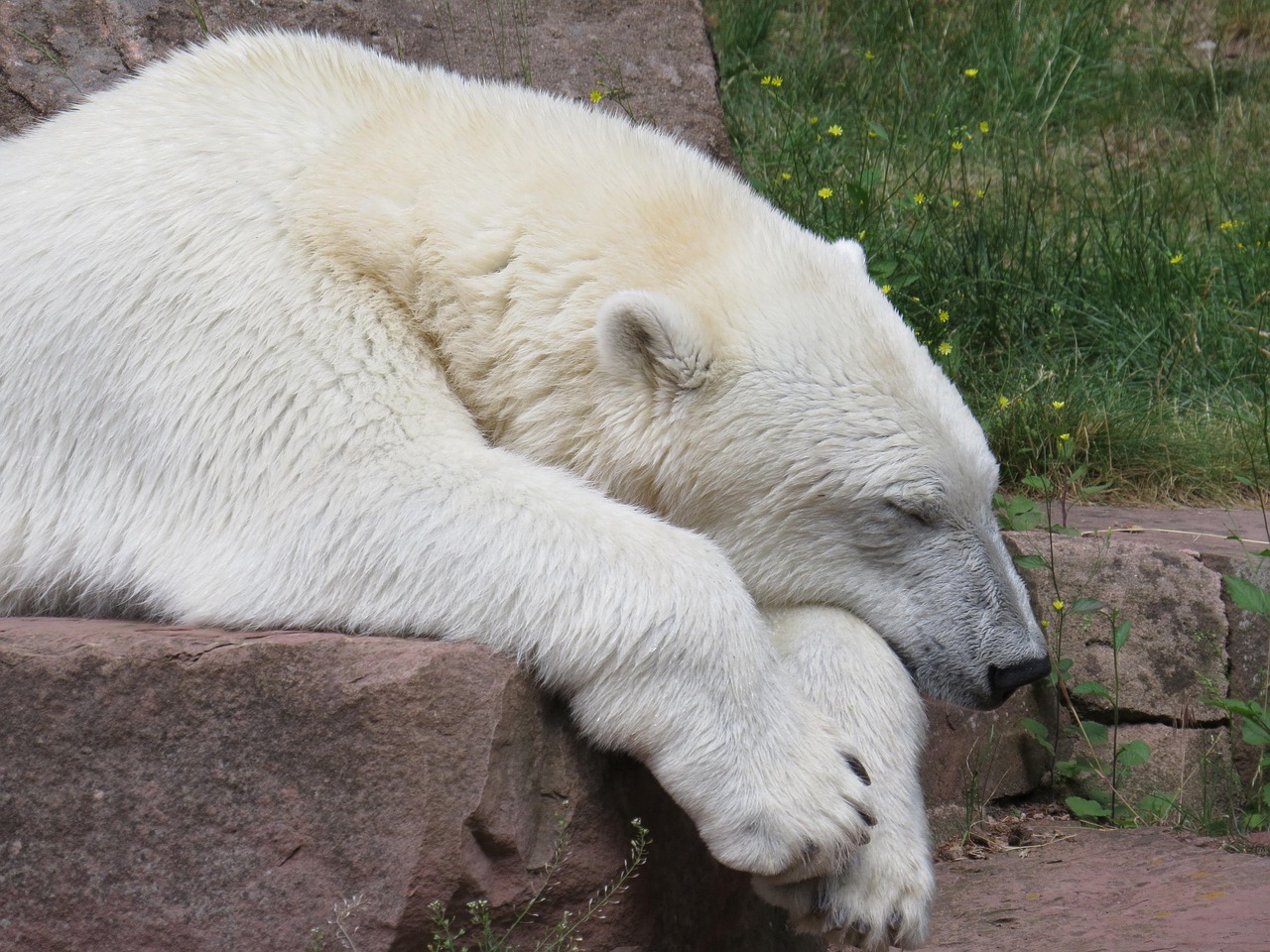 Energy Conservation During Crisis (Image Credits: Pixabay)