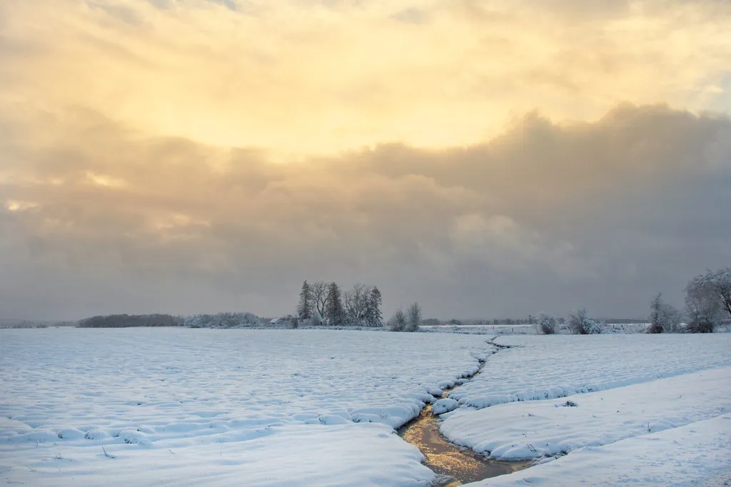 #4 - A Fish Scientist Discovered the Ice Age as a Side Hobby (Image Credits: Flickr)