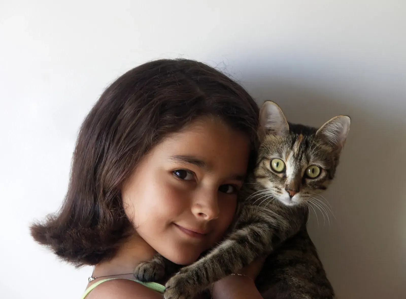 Why Cancers And Cats Are A Match Made In Heaven (Image Credits: Wikimedia)