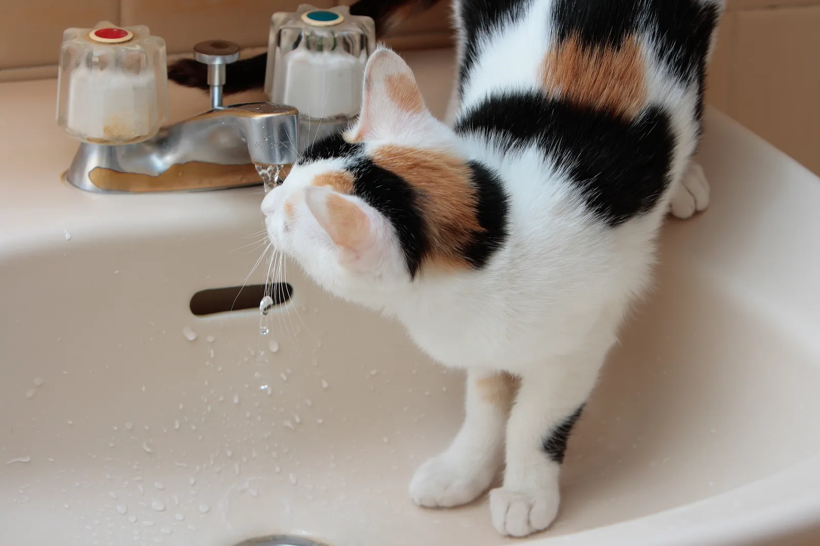 #15 - The Strange Ritual of Nighttime Water Fascination (By MiNe, CC BY 2.0)