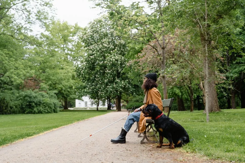 #7 - Adjusting for a Handler's Recent Health or Mobility Shifts (Image Credits: Pexels)
