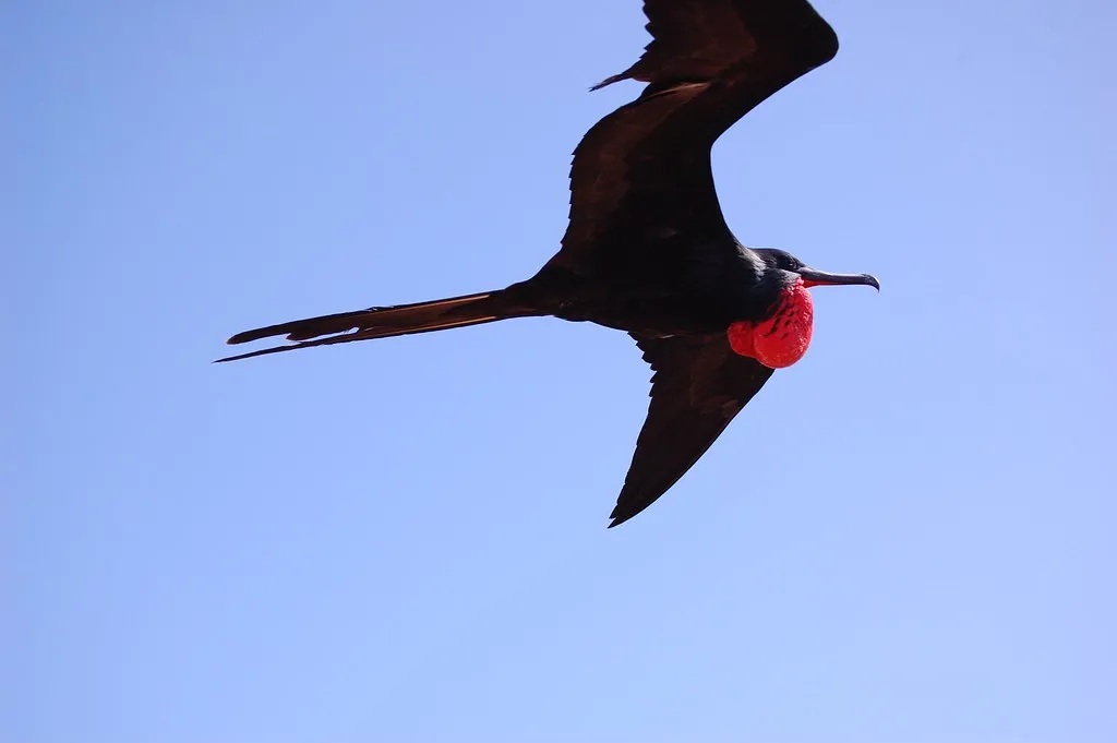 How Much Sleep Do They Actually Get Up There? (NOAA Photo Library, Flickr, CC BY 2.0)
