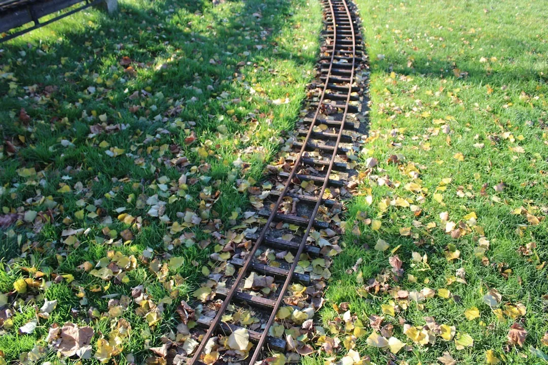 Railroad Worms (Image Credits: Unsplash)