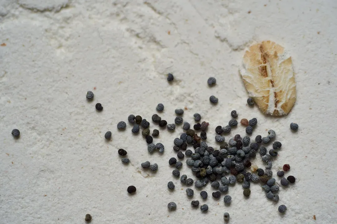 The Silent Killer: Moldy and Contaminated Seeds (Image Credits: Unsplash)