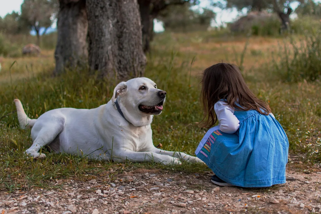 #8 - How They Handle Simple Affection and Touch (Image Credits: Pixabay)
