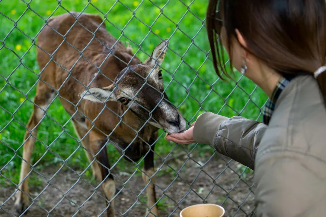 Conclusion: The Kindest Thing You Can Do Is Step Back (Image Credits: Unsplash)