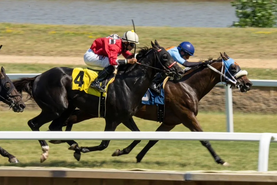 #1 - Thoroughbred: The "He'll Calm Down" Myth (Image Credits: Pexels)