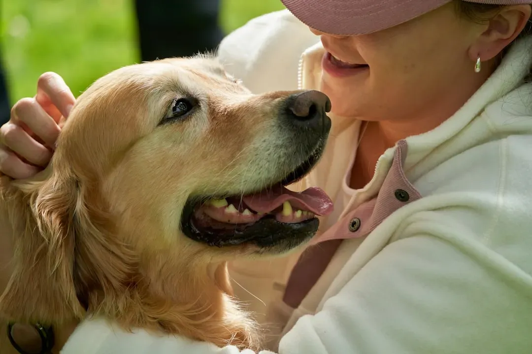 They Show Different Behaviors Based on Your Emotional State (Image Credits: Unsplash)