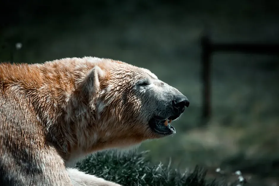 #5. What This Means for Conservation (Image Credits: Pexels)