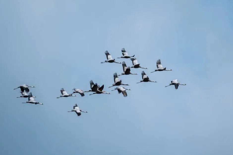 Nature's GPS: How Birds Actually Know Where to Go (Image Credits: Pexels)