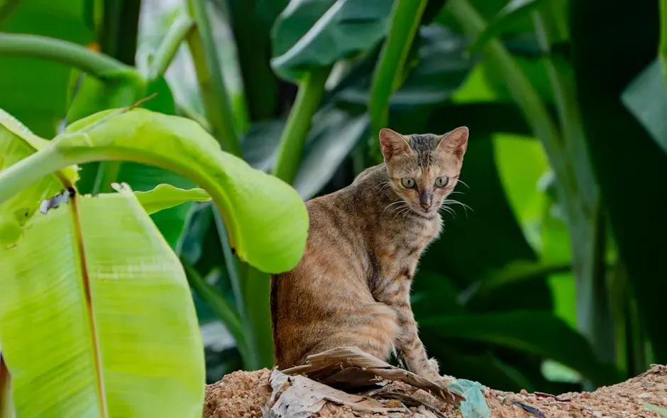 #5. You Feel a Genuine, Rooted Connection to the Natural World (Image Credits: Pexels)