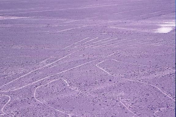 The Nazca Lines: Messages Written on Earth (Image Credits: Flickr)