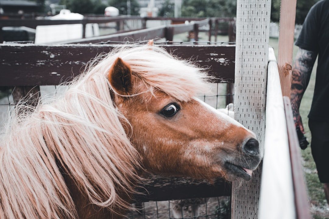 Ignoring Behavioral Warning Signs (Image Credits: Unsplash)