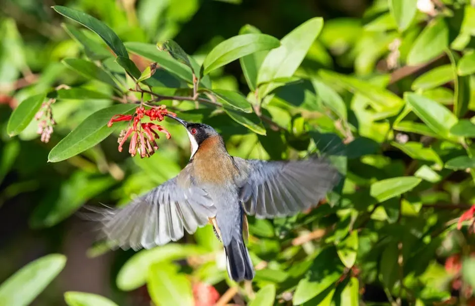 #4 Native Plants Outperform Exotics Every Time (Image Credits: Pexels)