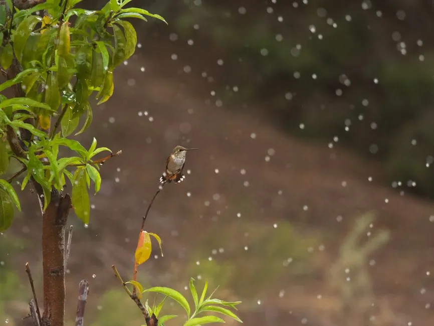 #9 - They Quietly Read the Weather While We're Asleep (Image Credits: Pexels)