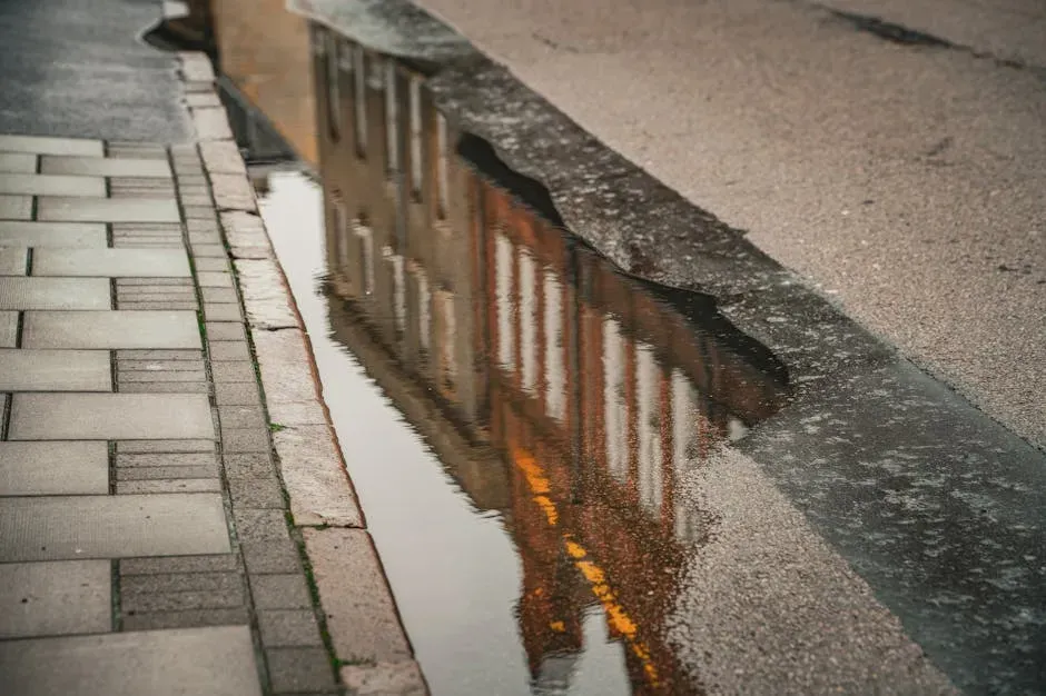 What Is Being Done and What Comes Next (Image Credits: Pexels)