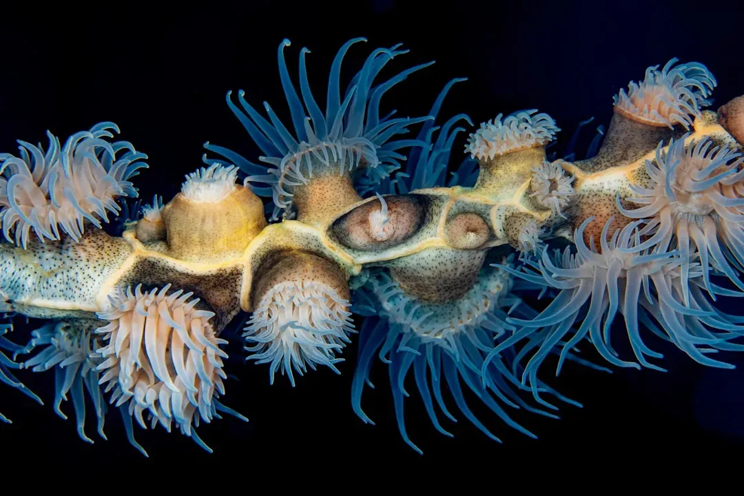 Conclusion: Lessons From The Deep (Image Credits: Unsplash)