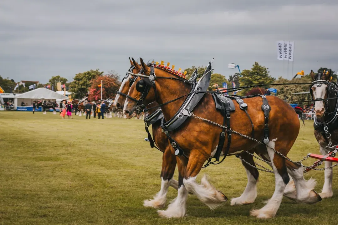 Capricorn and the Clydesdale (Image Credits: Unsplash)