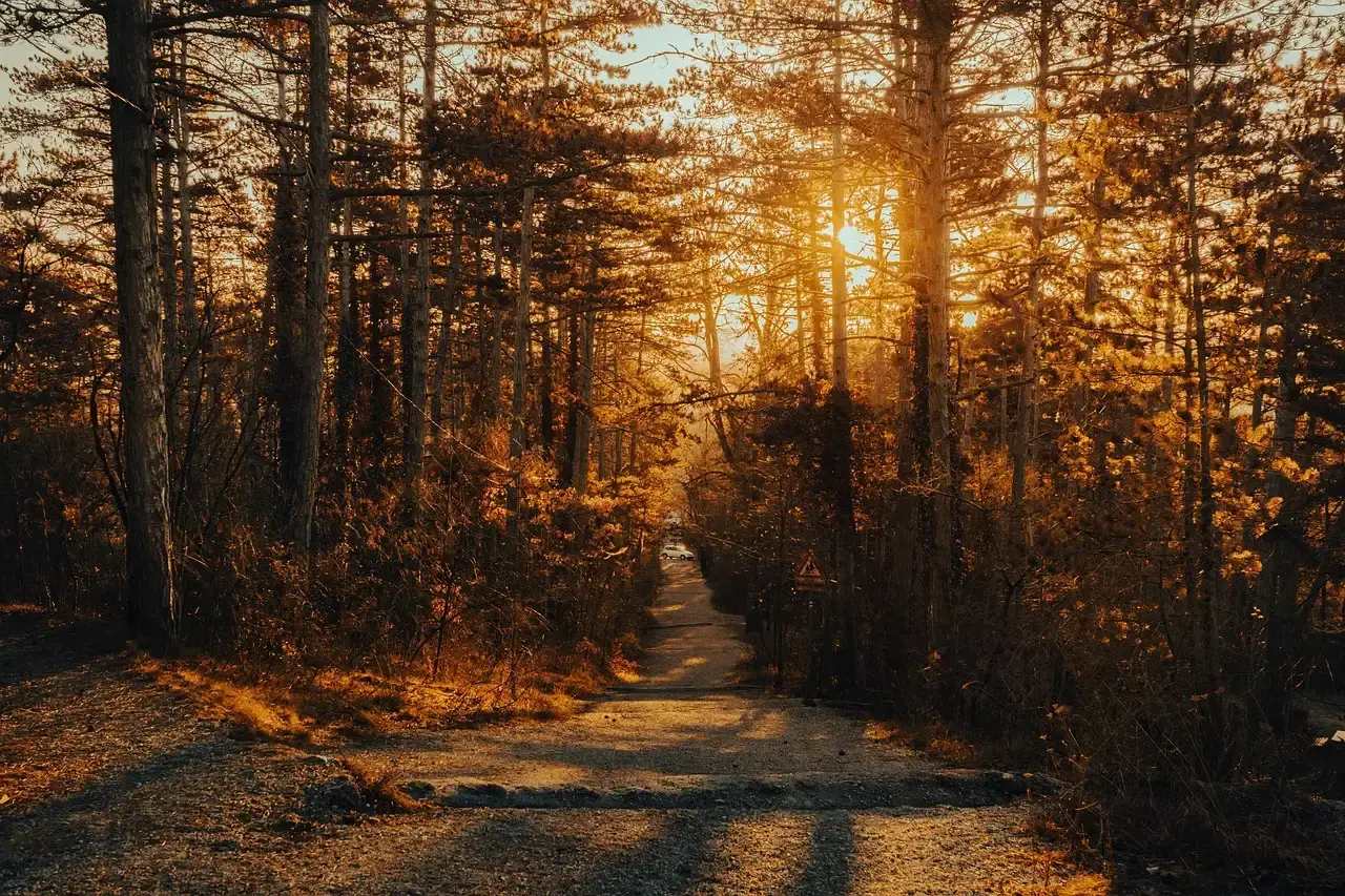 California: The Golden Standard for Trail Diversity (Image Credits: Pixabay)