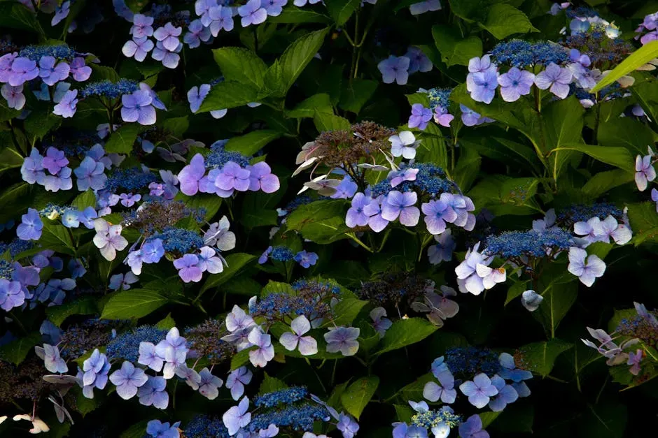 Plant in Clusters, Not Scattered Singles (Image Credits: Pexels)
