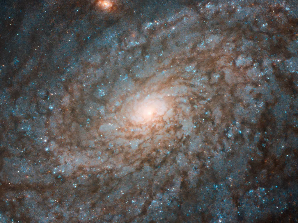 Could Black Holes Have "Hair" After All? (NASA Goddard Photo and Video, Flickr, CC BY 2.0)