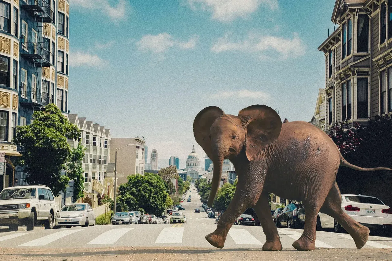 Baby Elephants Stand and Walk Within Minutes of Birth (Image Credits: Pixabay)