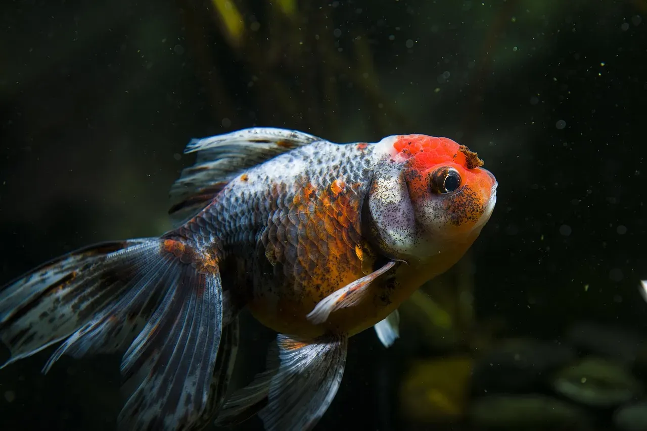 9. They Can Survive Extreme Conditions (Image Credits: Pixabay)