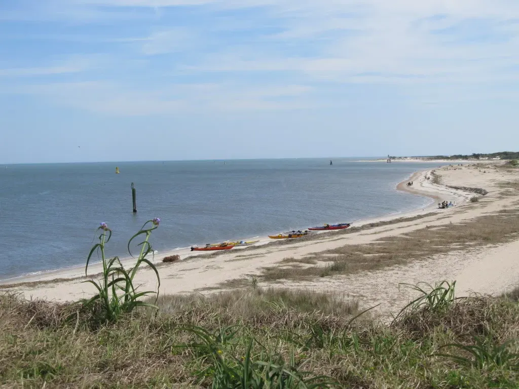 Amelia Island, Florida (Image Credits: Flickr)