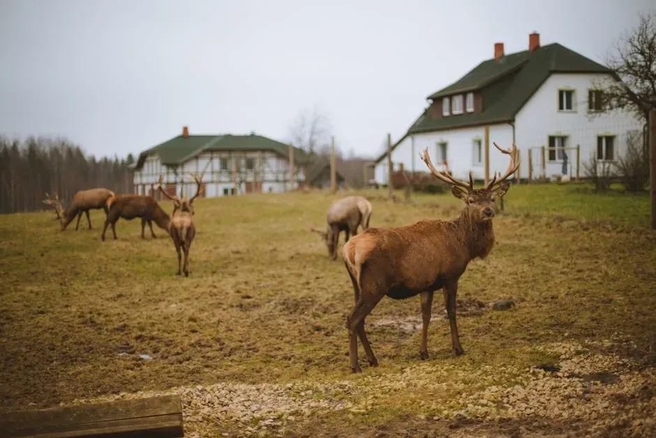 Adapting to Life Near People (Image Credits: Pexels)