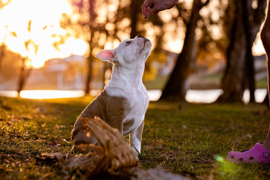 Poor Timing with Rewards (Image Credits: Unsplash)