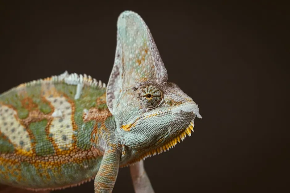 What Reptile Skin Is Teaching Scientists and Engineers Right Now (Image Credits: Pexels)