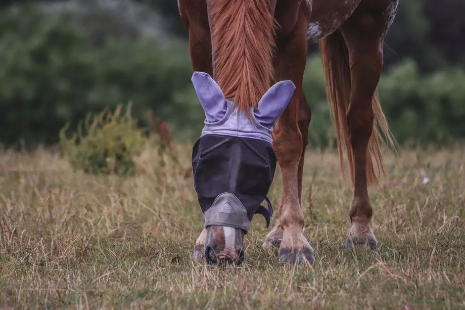 #14 - They Lower Their Head When You Approach, Instead of Bracing (Image Credits: Pexels)