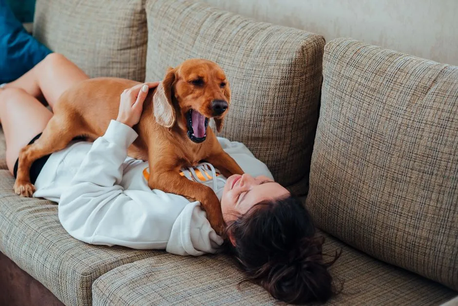 #8 - They Follow You From Room to Room and Ignore Everyone Else (Image Credits: Pexels)