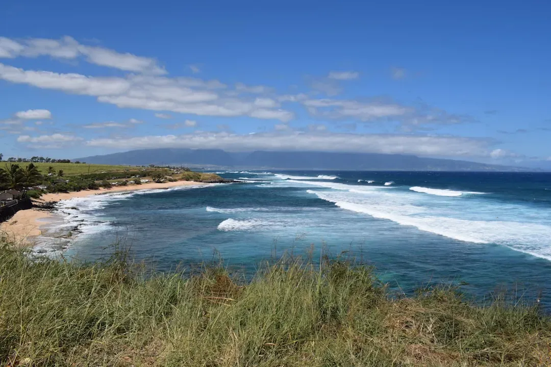Ho'okipa Beach Park (Image Credits: Unsplash)