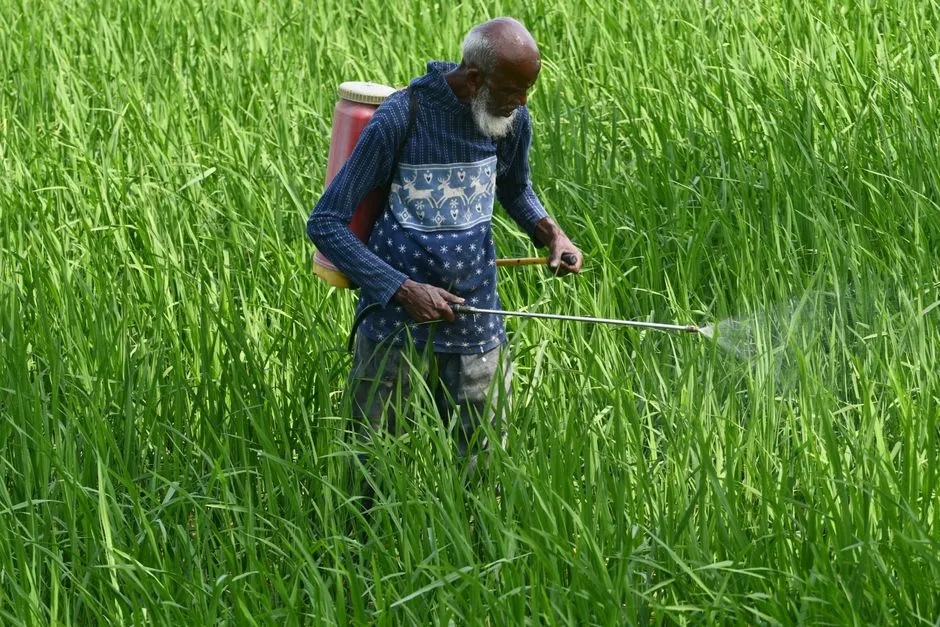 11. Cut Down on Pesticides and “Bug-Free” Obsession (Image Credits: Pexels)
