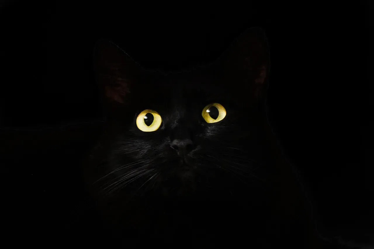 Conclusion: The Beast Within Is Not the Enemy (Image Credits: Pixabay)