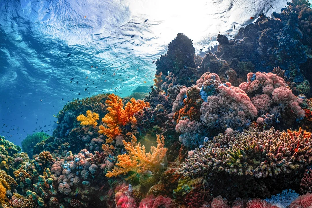 #4 - Coral Reefs: The Architects of Underwater Cities (Image Credits: Unsplash)